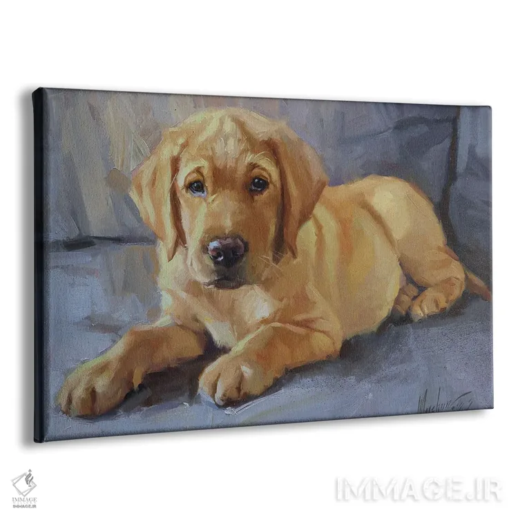 تابلو پرترهٔ تولهسگ لابرادور اثر الکس مووچون - نمای پرسپکتیو محصول