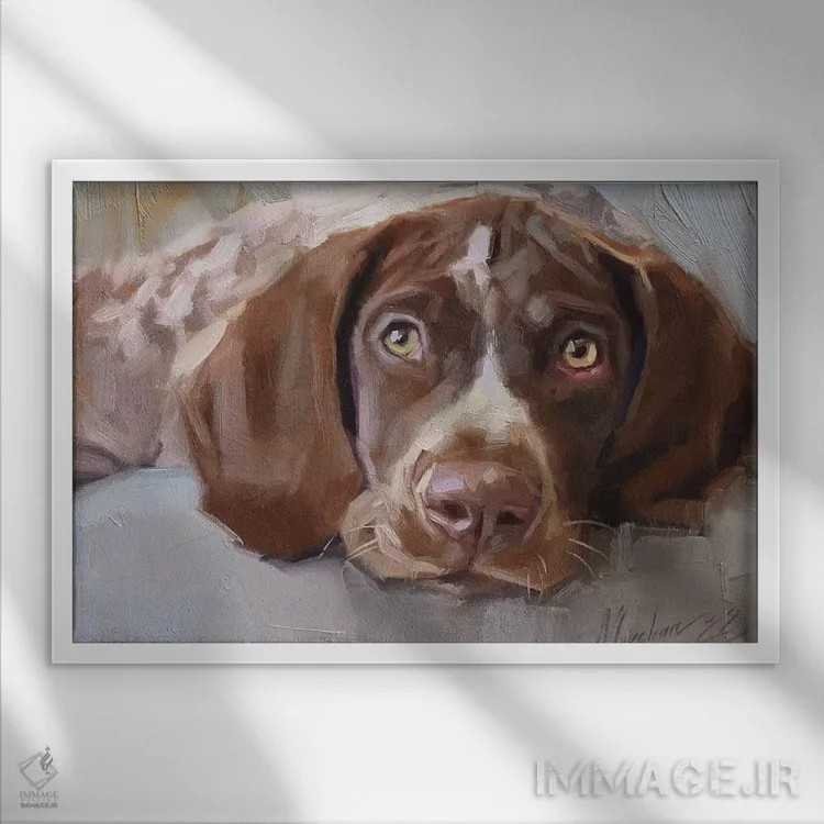تابلو پرترهٔ پوینتر ژرمن شورت هیر (سگ شکاری آلمانی) اثر الکس مووچون - نمای قابدار سفید