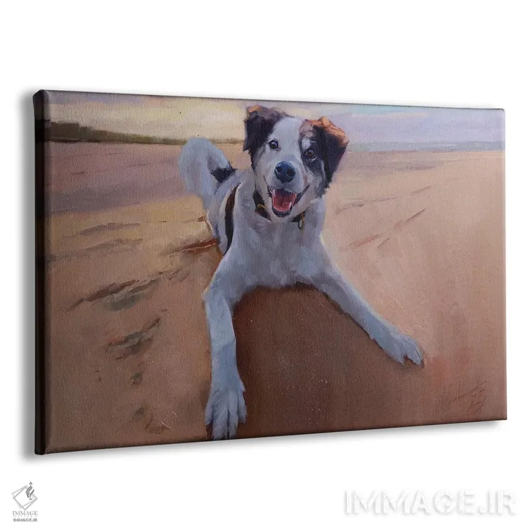 تابلو پرترهٔ بردر کولی، پرترهٔ سگ، سگ در ساحل اثر الکس مووچون - نمای پرسپکتیو محصول