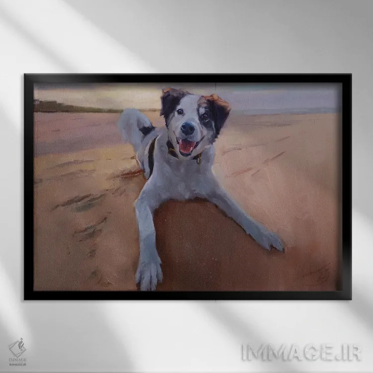 تابلو پرترهٔ بردر کولی، پرترهٔ سگ، سگ در ساحل اثر الکس مووچون - نمای قابدار مشکی