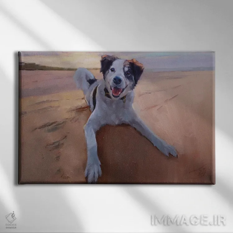 تابلو پرترهٔ بردر کولی، پرترهٔ سگ، سگ در ساحل اثر الکس مووچون - نمای روبهرو روی دیوار