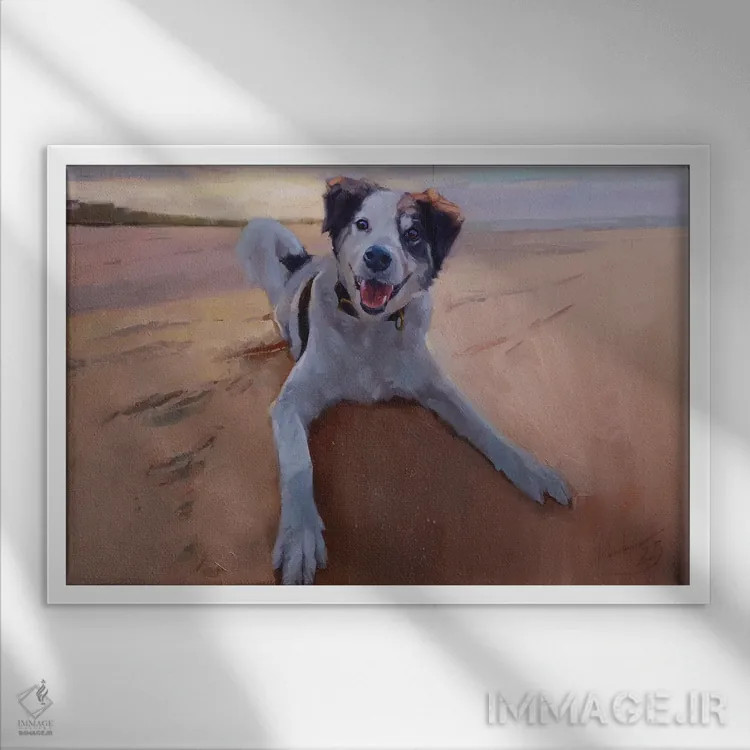 تابلو پرترهٔ بردر کولی، پرترهٔ سگ، سگ در ساحل اثر الکس مووچون - نمای قابدار سفید
