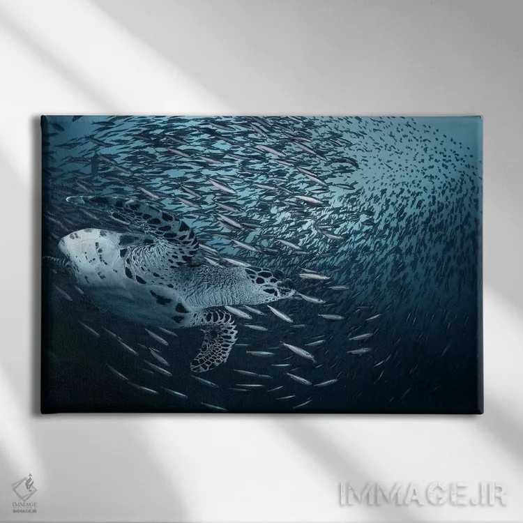 تابلو پیچ (انحنا) اثر آندری نارچوک - نمای روبهرو روی دیوار