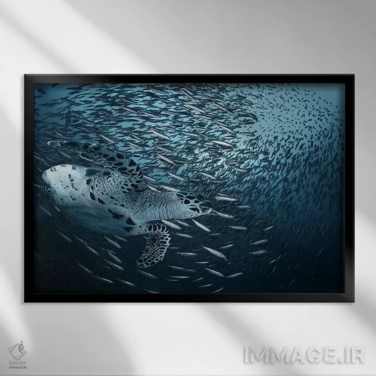 تابلو پیچ (انحنا) اثر آندری نارچوک - نمای قابدار مشکی