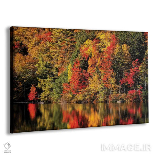 تابلو آمریکا، نیوهمپشایر، کوههای سفید، انعکاس پاییزی در برکه راسل اثر آن کالینز - نمای پرسپکتیو محصول