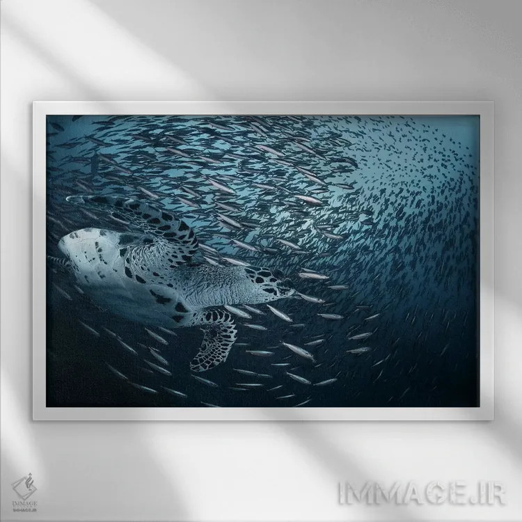 تابلو پیچ (انحنا) اثر آندری نارچوک - نمای قابدار سفید