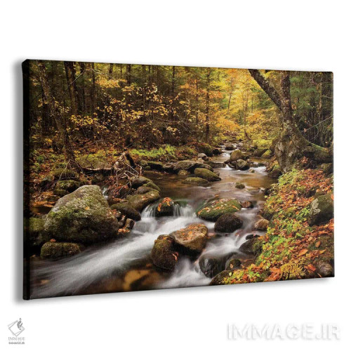 تابلو آمریکا، نیوهمپشایر، کوههای سفید، رنگهای پاییزی در بروک جفرسون ۱ اثر آن کالینز - نمای پرسپکتیو محصول