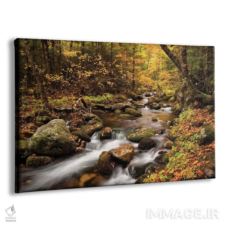 تابلو آمریکا، نیوهمپشایر، کوههای سفید، رنگهای پاییزی در بروک جفرسون ۱ اثر آن کالینز - نمای پرسپکتیو محصول