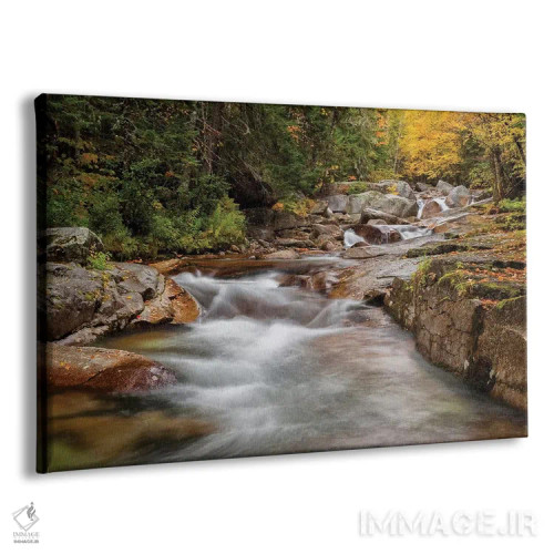 تابلو آمریکا، نیوهمپشایر، کوههای سفید، پاییز در بروک جفرسون اثر آن کالینز - نمای پرسپکتیو محصول