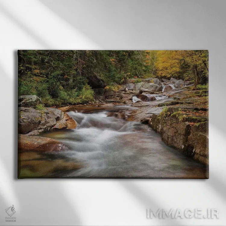 تابلو آمریکا، نیوهمپشایر، کوههای سفید، پاییز در بروک جفرسون اثر آن کالینز - نمای روبهرو روی دیوار