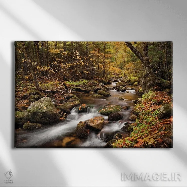 تابلو آمریکا، نیوهمپشایر، کوههای سفید، رنگهای پاییزی در بروک جفرسون ۱ اثر آن کالینز - نمای روبهرو روی دیوار