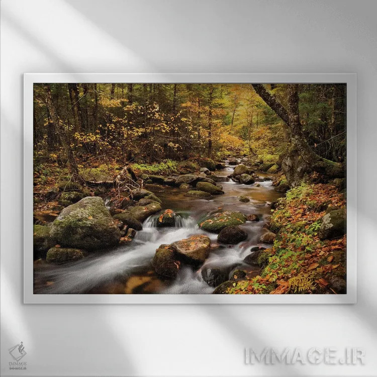 تابلو آمریکا، نیوهمپشایر، کوههای سفید، رنگهای پاییزی در بروک جفرسون ۱ اثر آن کالینز - نمای قابدار سفید