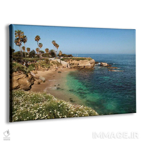 تابلو آمریکا، کالیفرنیا، لاجویا، آب زلال در یک روز بهاری در خلیج لاجویا اثر آن کالینز - نمای پرسپکتیو محصول