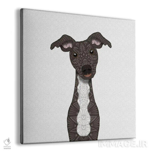 تابلو ایگی راهراه با شکم سفید اثر آنجلیکا پارکر - نمای پرسپکتیو محصول