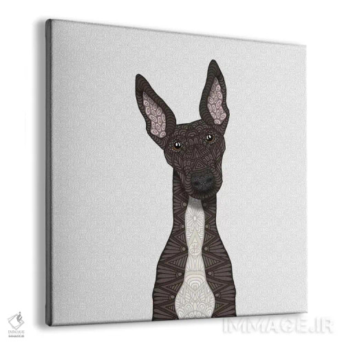 تابلو گریهاند راهراه با شکم سفید اثر آنجلیکا پارکر - نمای پرسپکتیو محصول