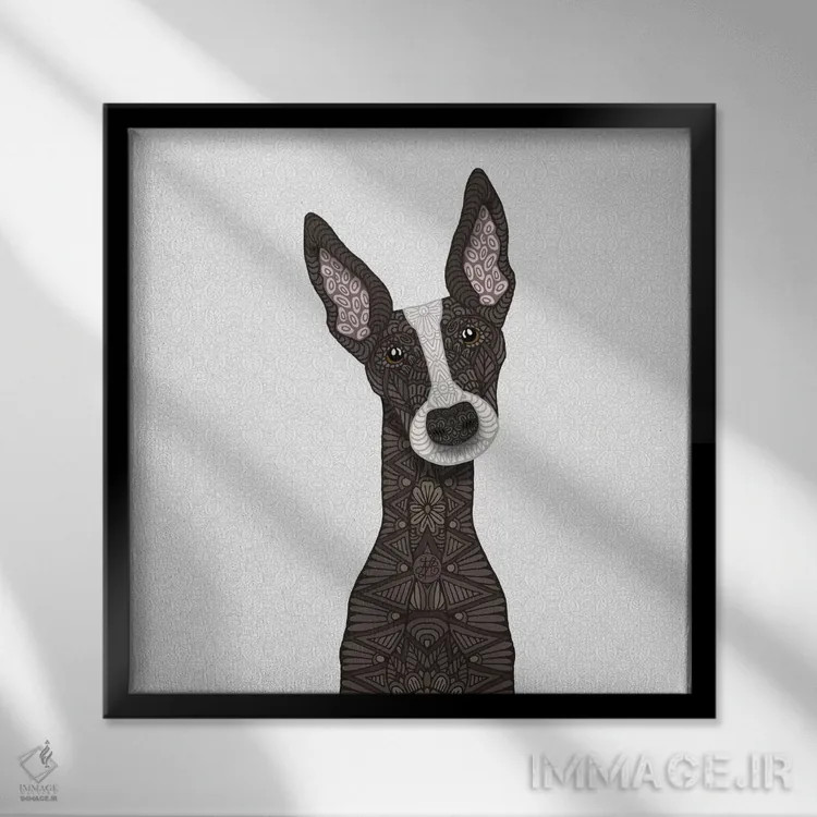 تابلو گریهاند راهراه با پوزه سفید اثر آنجلیکا پارکر - نمای قابدار مشکی