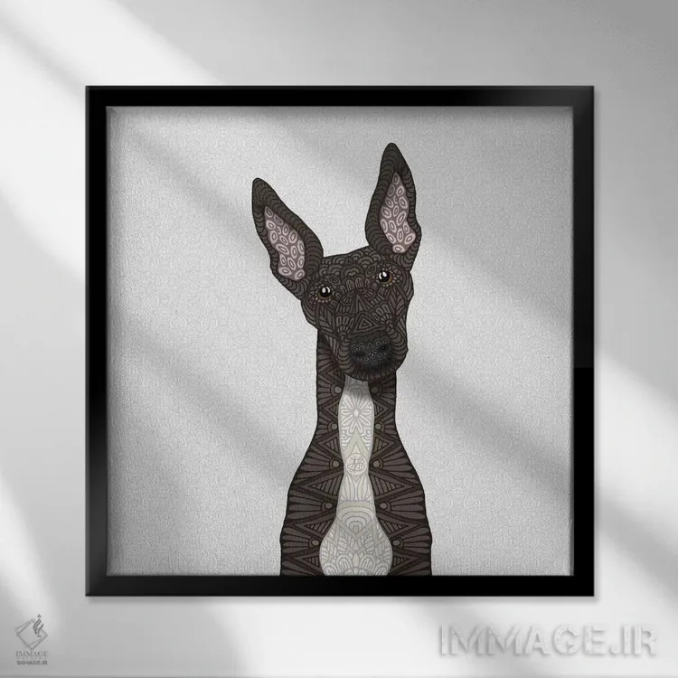 تابلو گریهاند راهراه با شکم سفید اثر آنجلیکا پارکر - نمای قابدار مشکی