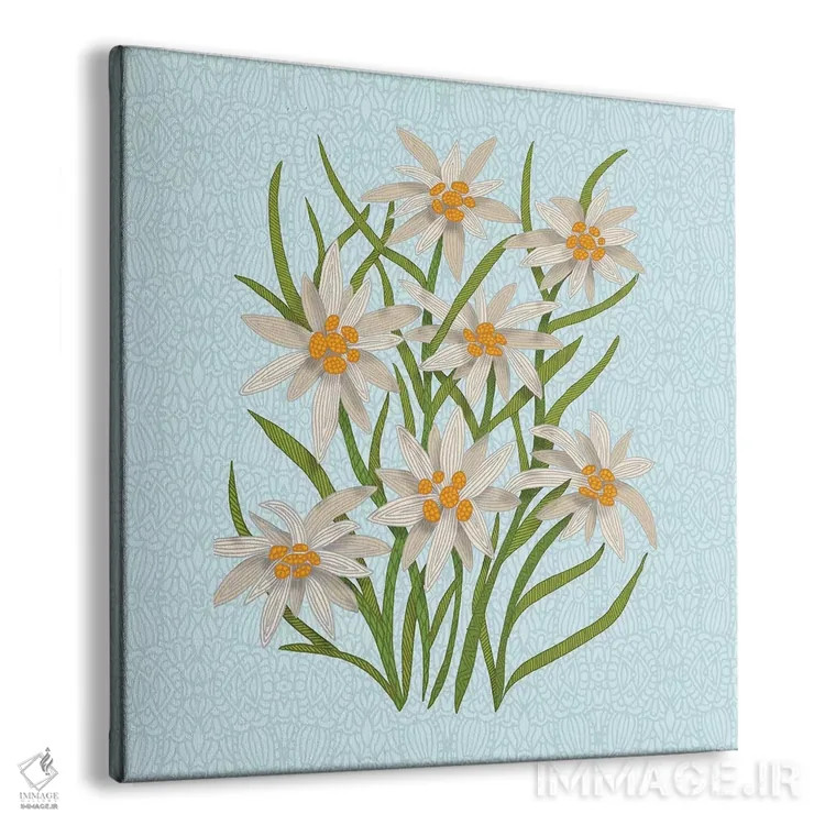 تابلو ادلوایس (گل کوهی) اثر آنجلیکا پارکر - نمای پرسپکتیو محصول