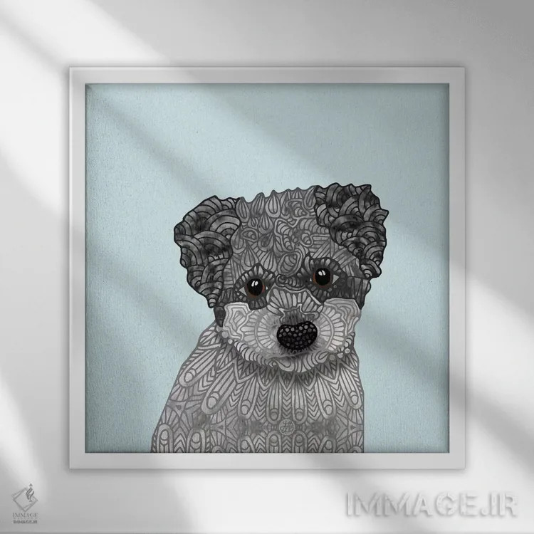 تابلو هاوانیز بامزه (سگ) اثر آنجلیکا پارکر - نمای قابدار سفید