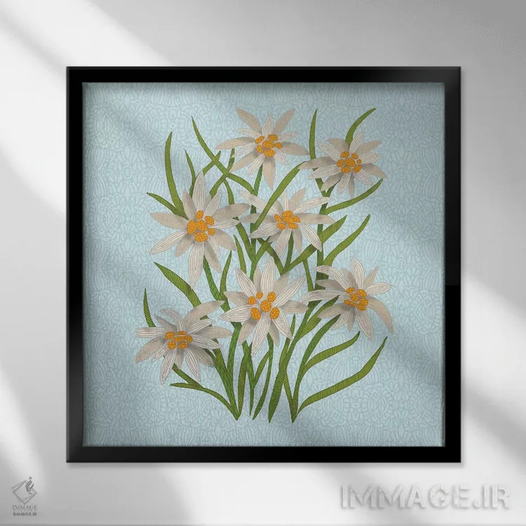 تابلو ادلوایس (گل کوهی) اثر آنجلیکا پارکر - نمای قابدار مشکی