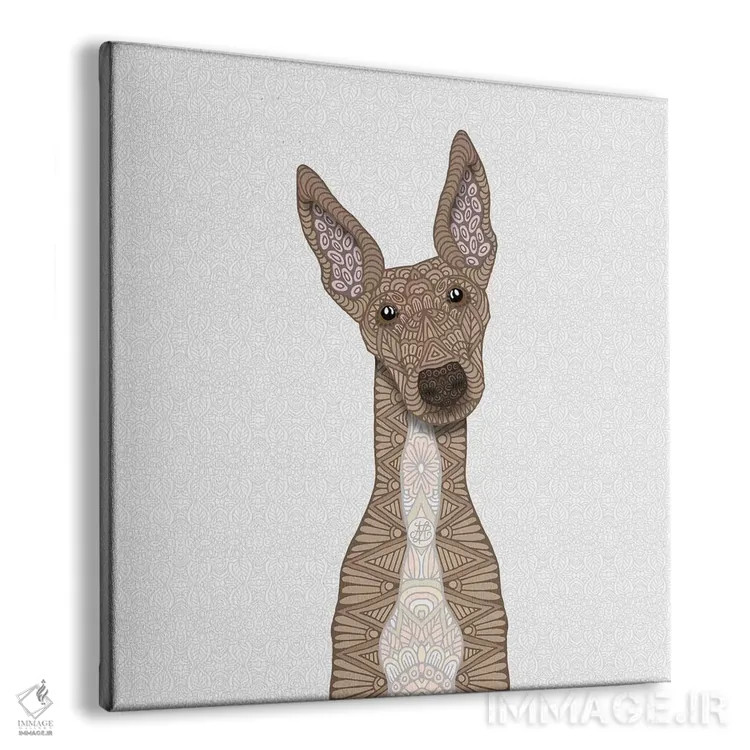 تابلو گریهاند نخودی با شکم سفید اثر آنجلیکا پارکر - نمای پرسپکتیو محصول