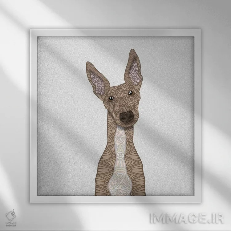 تابلو گریهاند نخودی با شکم سفید اثر آنجلیکا پارکر - نمای قابدار سفید