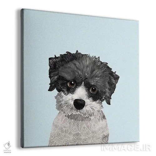 تابلو هاوانیز کوچک (سگ) اثر آنجلیکا پارکر - نمای پرسپکتیو محصول