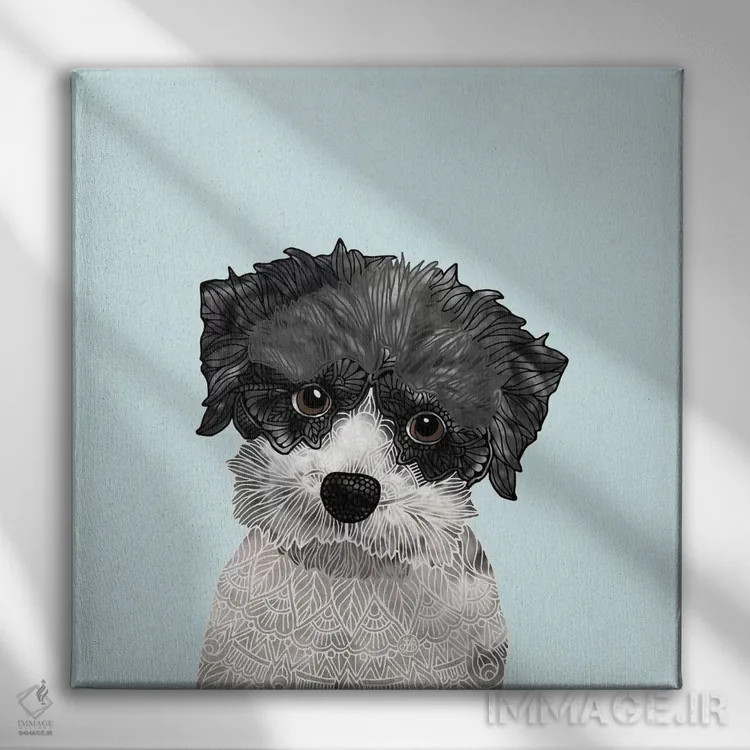 تابلو هاوانیز کوچک (سگ) اثر آنجلیکا پارکر - نمای روبهرو روی دیوار