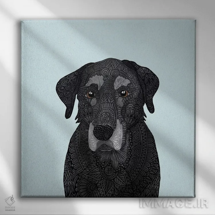 تابلو لابرادور سیاه پیر (سگ) اثر آنجلیکا پارکر - نمای روبهرو روی دیوار