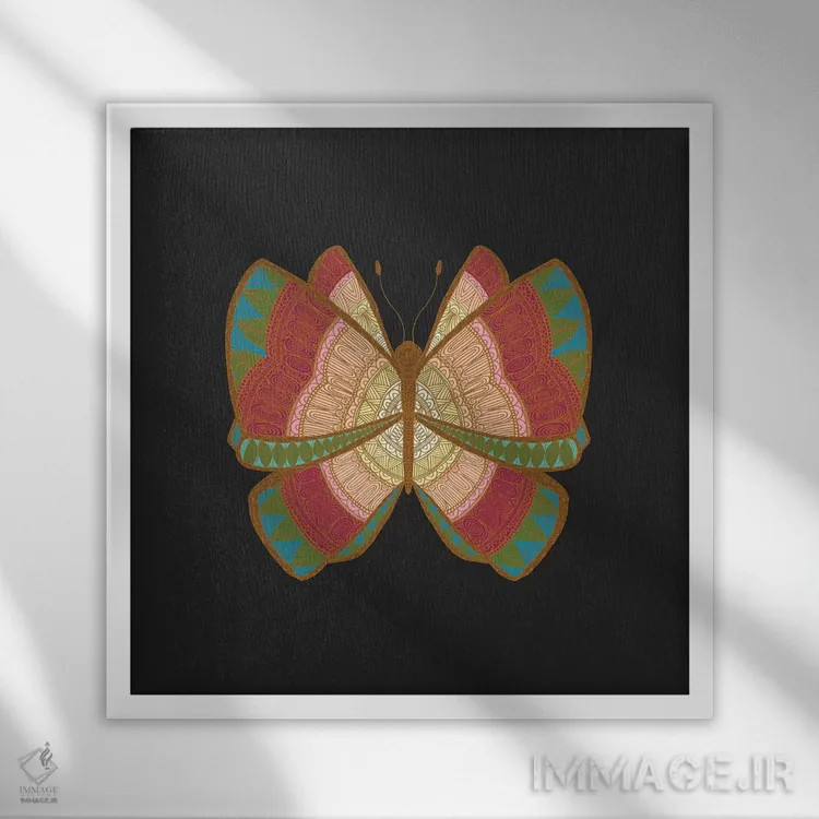 تابلو شبپره اثر آنجلیکا پارکر - نمای قابدار سفید