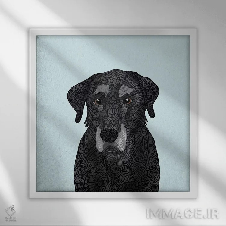 تابلو لابرادور سیاه پیر (سگ) اثر آنجلیکا پارکر - نمای قابدار سفید