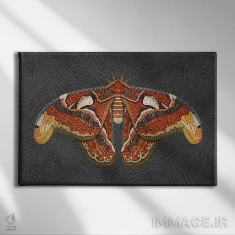 تابلو پروانه اطلس اثر آنجلیکا پارکر - نمای روبهرو روی دیوار