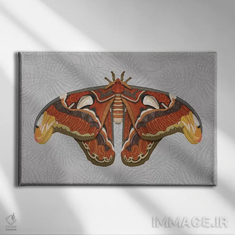 تابلو پروانه اطلس اثر آنجلیکا پارکر - نمای روبهرو روی دیوار