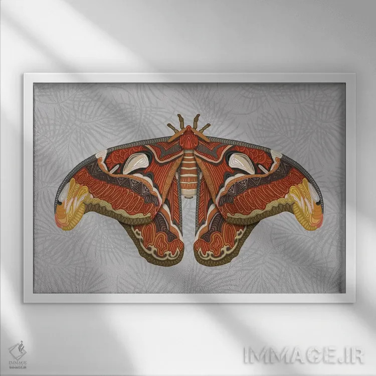 تابلو پروانه اطلس اثر آنجلیکا پارکر - نمای قابدار سفید