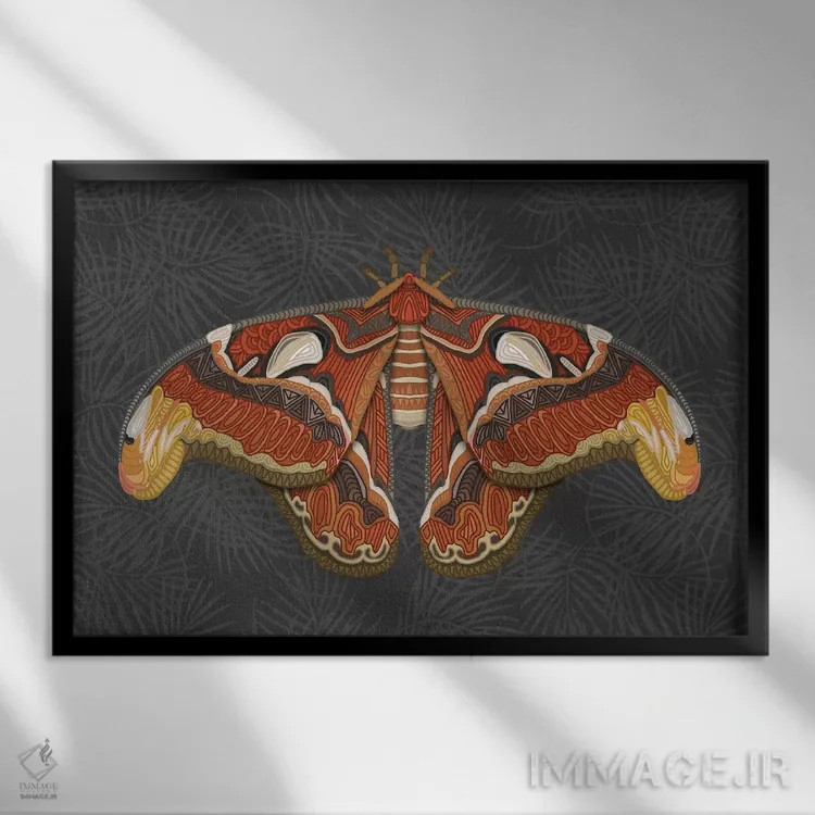 تابلو پروانه اطلس اثر آنجلیکا پارکر - نمای قابدار مشکی