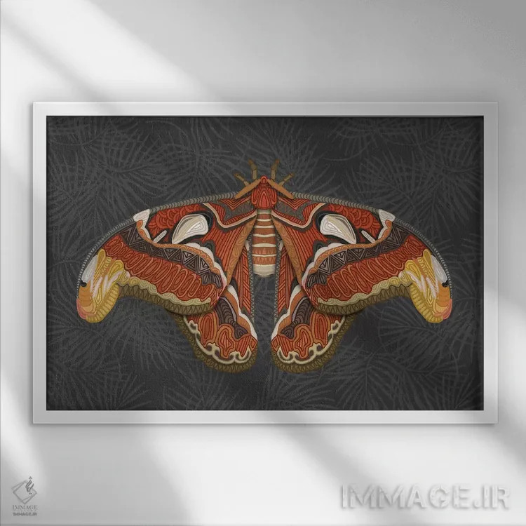 تابلو پروانه اطلس اثر آنجلیکا پارکر - نمای قابدار سفید