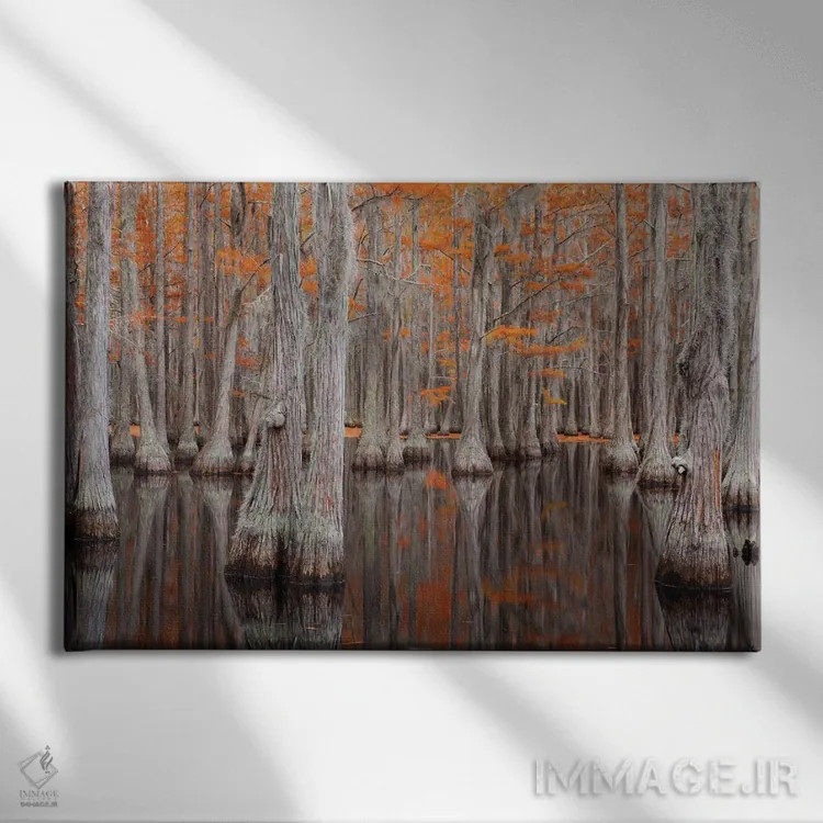 تابلو George Smith State Park, Georgia. Fall cypress trees.,آمریکا، پارک ایالتی جرج اسمیت، جورجیا. درختان سرو در پاییز اثر جوآن ولز - نمای روبهرو روی دیوار