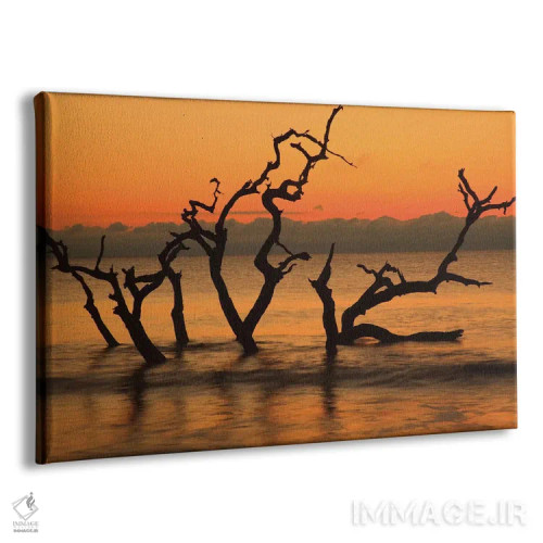 تابلو Jekyll Island, Georgia. Driftwood Beach at sunrise.,آمریکا، جزیره جکیل، جورجیا. ساحل دریفتوود در سپیدهدم اثر جوآن ولز - نمای پرسپکتیو محصول