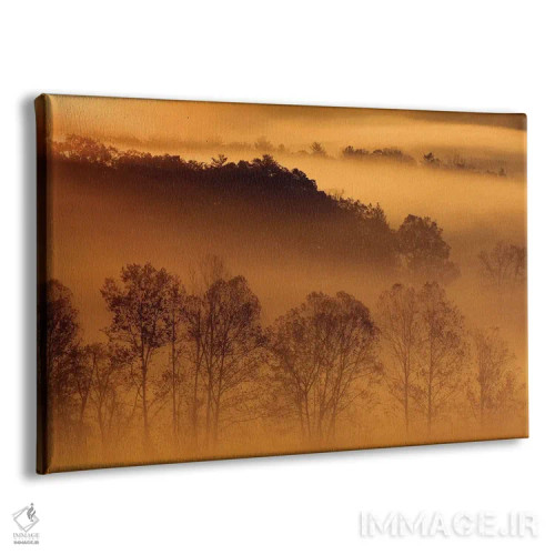 تابلو Tennessee. Early morning fog in the Smoky Mountains.,آمریکا، تنسی. مه صبحگاهی در کوههای اسموکی اثر جوآن ولز - نمای پرسپکتیو محصول