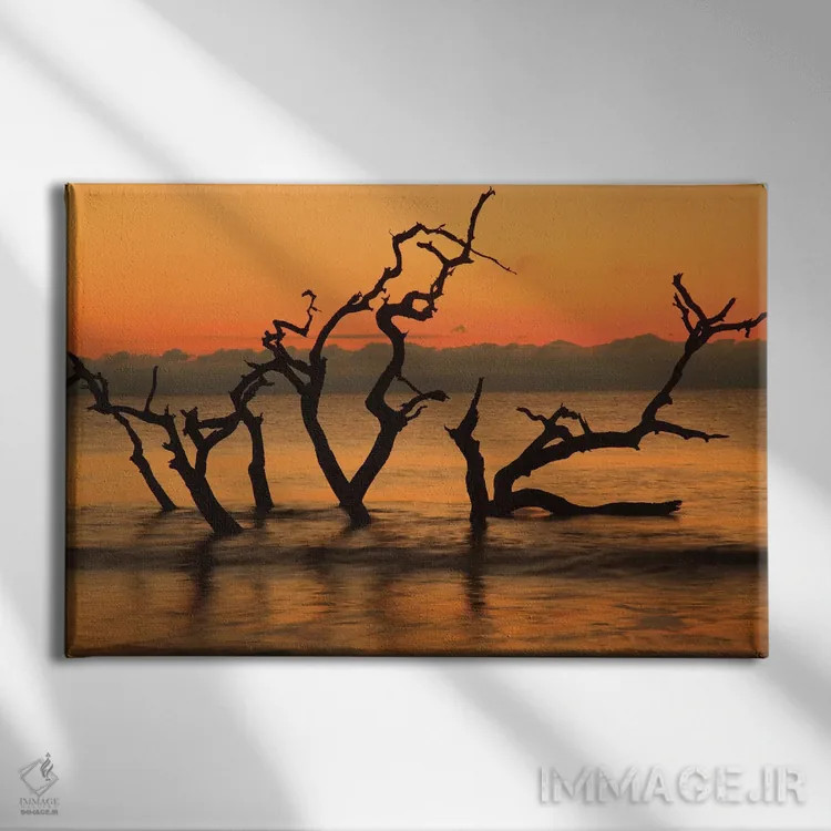 تابلو Jekyll Island, Georgia. Driftwood Beach at sunrise.,آمریکا، جزیره جکیل، جورجیا. ساحل دریفتوود در سپیدهدم اثر جوآن ولز - نمای روبهرو روی دیوار