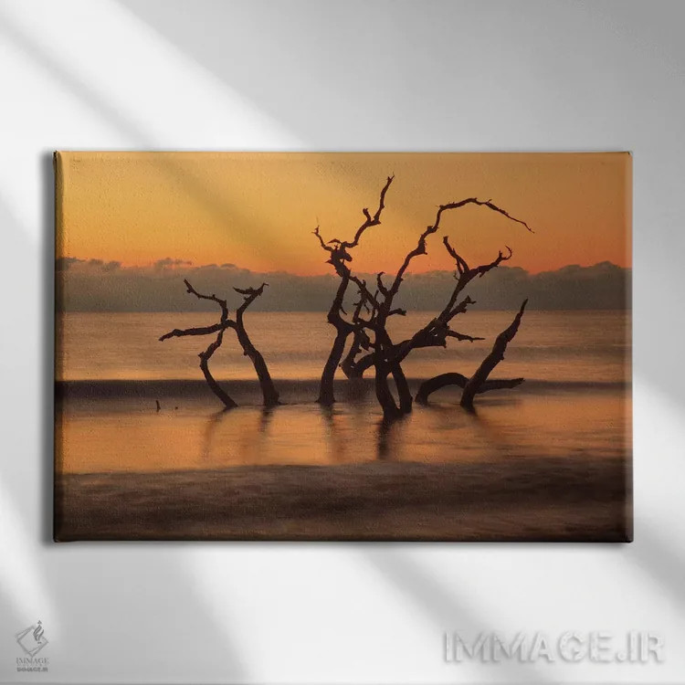 تابلو Georgia. Jekyll Island, Driftwood Beach at sunrise.,آمریکا، جورجیا. جزیره جکیل، ساحل دریفتوود در سپیدهدم اثر جوآن ولز - نمای روبهرو روی دیوار