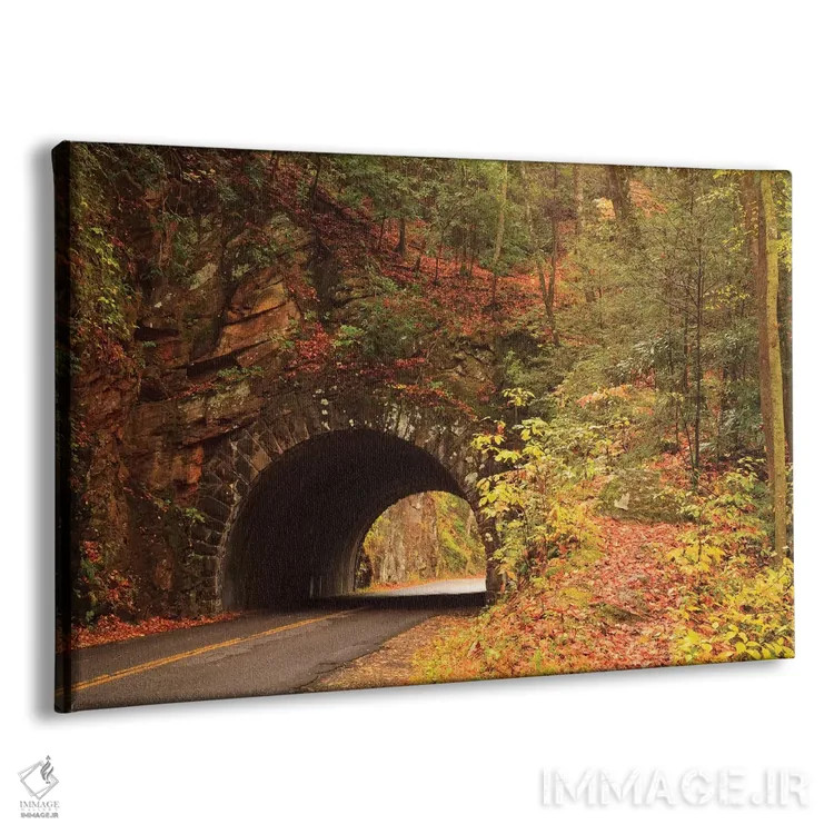 تابلو Tennesse. Tunnel along the road to Cades Cove in the fall.,آمریکا، تنسی. تونل کنار جادهٔ به کیدز کوو در پاییز اثر جوآن ولز - نمای پرسپکتیو محصول
