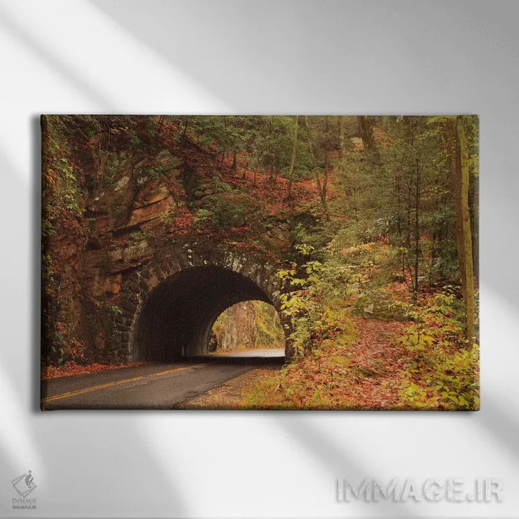 تابلو Tennesse. Tunnel along the road to Cades Cove in the fall.,آمریکا، تنسی. تونل کنار جادهٔ به کیدز کوو در پاییز اثر جوآن ولز - نمای روبهرو روی دیوار