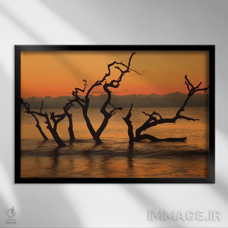 تابلو Jekyll Island, Georgia. Driftwood Beach at sunrise.,آمریکا، جزیره جکیل، جورجیا. ساحل دریفتوود در سپیدهدم اثر جوآن ولز - نمای قابدار مشکی