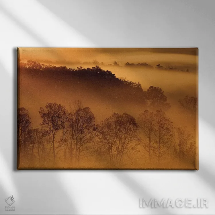 تابلو Tennessee. Early morning fog in the Smoky Mountains.,آمریکا، تنسی. مه صبحگاهی در کوههای اسموکی اثر جوآن ولز - نمای روبهرو روی دیوار