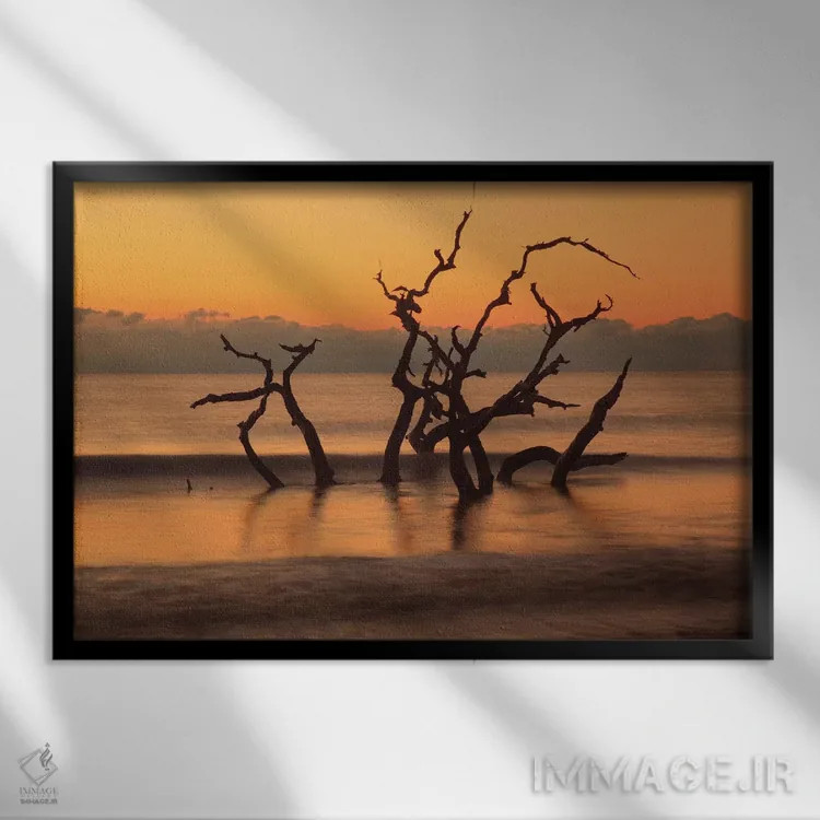 تابلو Georgia. Jekyll Island, Driftwood Beach at sunrise.,آمریکا، جورجیا. جزیره جکیل، ساحل دریفتوود در سپیدهدم اثر جوآن ولز - نمای قابدار مشکی