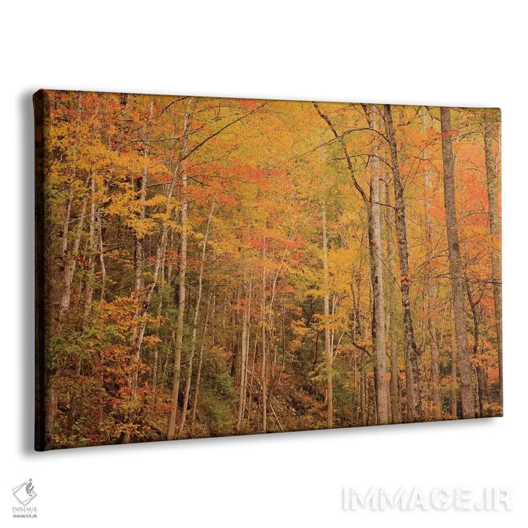 تابلو Tennessee. Fall foliage along the Little River in the Smoky Mountains.,آمریکا، تنسی. برگهای پاییزی در امتداد رودخانه لیتل در کوههای اسموکی اثر جوآن ولز - نمای پرسپکتیو محصول