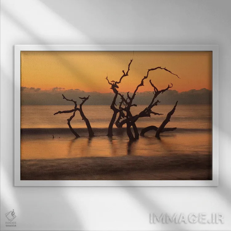تابلو Georgia. Jekyll Island, Driftwood Beach at sunrise.,آمریکا، جورجیا. جزیره جکیل، ساحل دریفتوود در سپیدهدم اثر جوآن ولز - نمای قابدار سفید