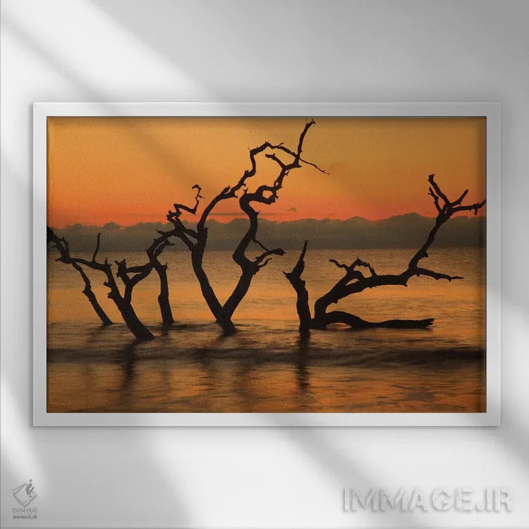 تابلو Jekyll Island, Georgia. Driftwood Beach at sunrise.,آمریکا، جزیره جکیل، جورجیا. ساحل دریفتوود در سپیدهدم اثر جوآن ولز - نمای قابدار سفید
