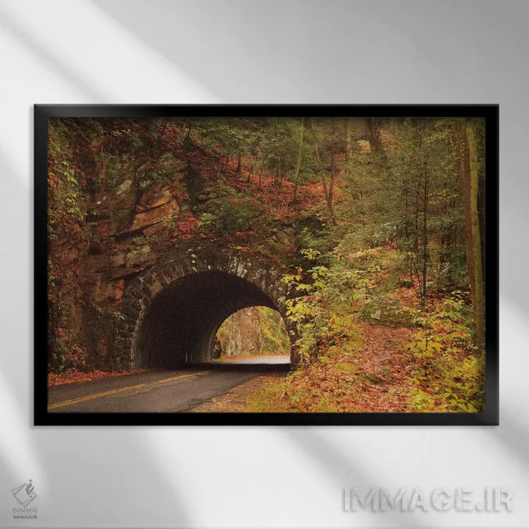تابلو Tennesse. Tunnel along the road to Cades Cove in the fall.,آمریکا، تنسی. تونل کنار جادهٔ به کیدز کوو در پاییز اثر جوآن ولز - نمای قابدار مشکی